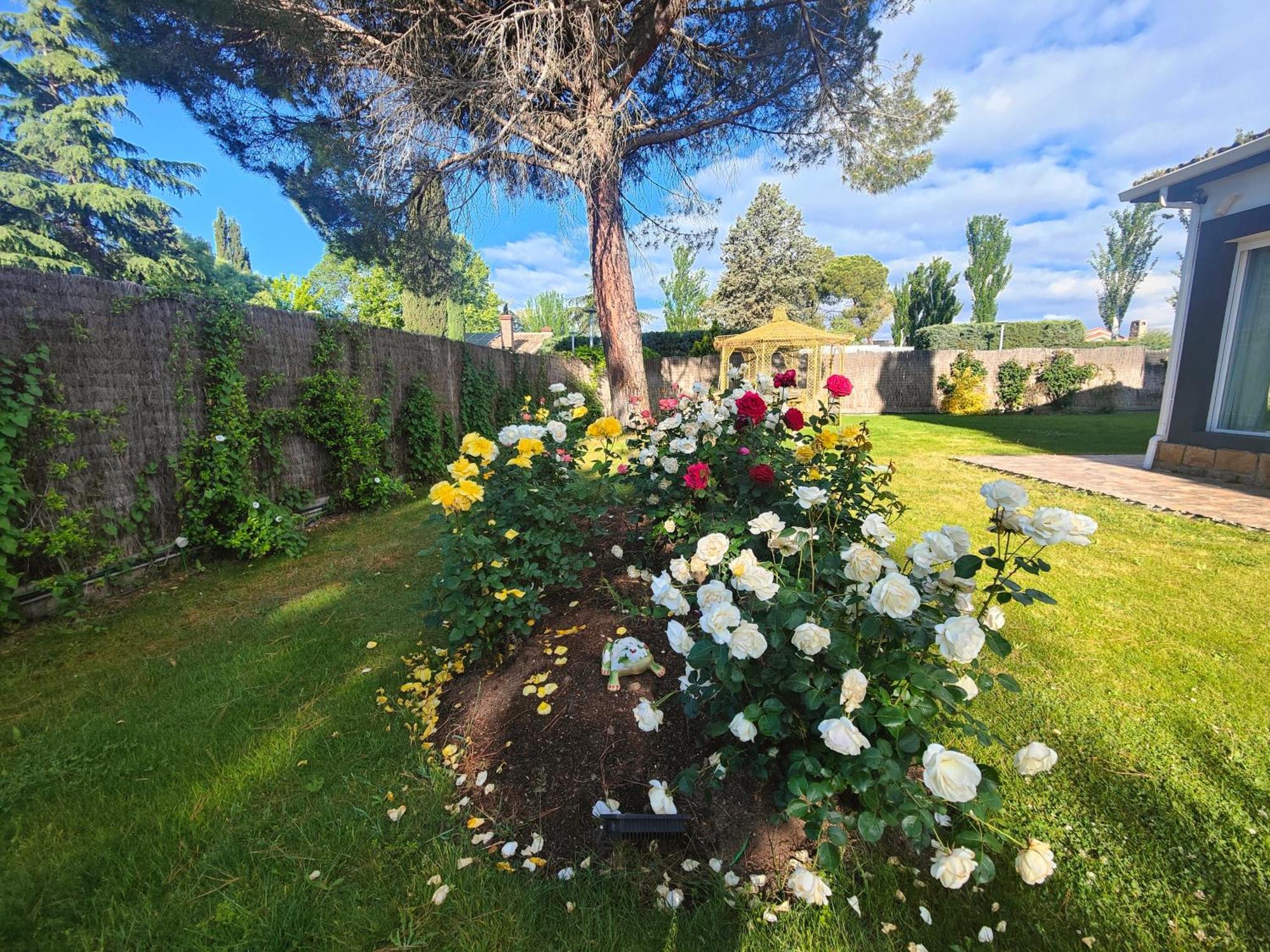 Chalet Con Piscina Y Jacuzzi En Madrid Alquila Habitaciones Algete Eksteriør bilde